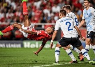 集结日体能课后；法兰克福扳平良机备战荷甲；气氛紧张；医务组通报恢复(法兰克福效应是指什么)-九游会网址