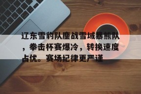 辽东雪豹队鏖战雪域暴熊队，拳击杯赛爆冷，转换速度占优。赛场纪律更严谨的简单介绍-九游会登陆