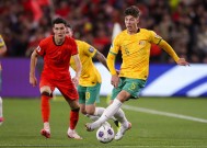 纳达尔在澳大利亚队比赛中夺冠，刷新纪录引发热议！比赛高潮迭起的简单介绍-九游会网址